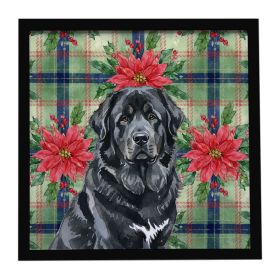 Black Tibetan Mastiff Christmas PoinsettIas Framed Metal Print Bathroom, Kitchen, Office, Home Decor Wall Art Ready to Hang, Square, 8X8
